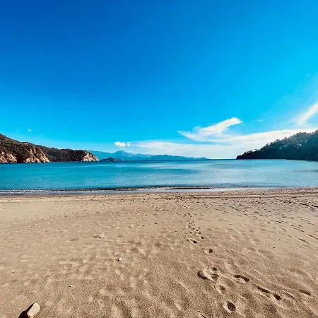 Willa Santana Gocek *