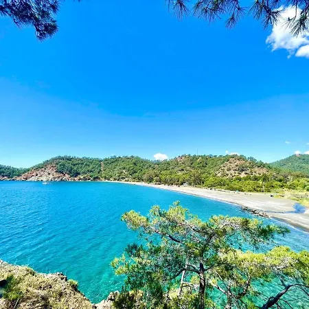 Santana Gocek Willa *