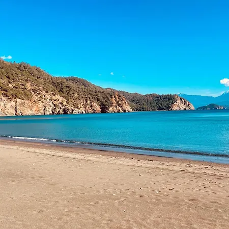 Willa Santana Gocek *