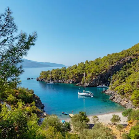 Santana Gocek *