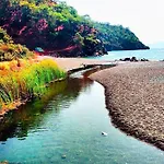 Santana Gocek فيلة غوجيك