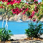 فيلة Santana Gocek