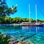 Santana Gocek فيلة غوجيك